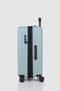 Icon Stripe 66cm Suitcase