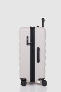Icon Stripe 66cm Suitcase