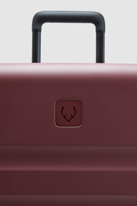 Icon Stripe 55cm Suitcase