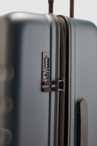 Icon Stripe 78cm Suitcase