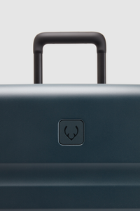 Icon Stripe 78cm Suitcase